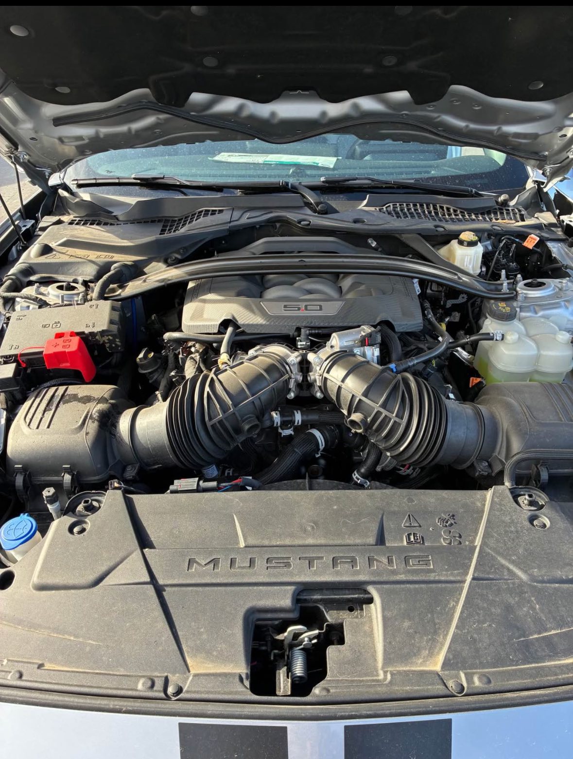 
								Ford Mustang GT full									